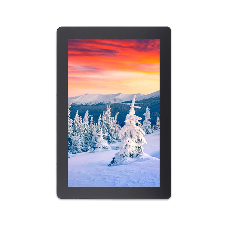 Moduł LCD interfejsu IPS MIPI o rozdzielczości 10,1 cala 800x1280